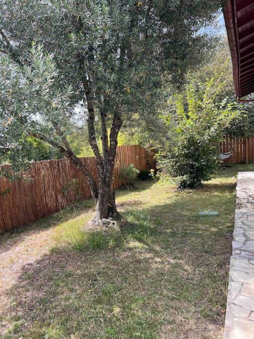 Agreable Maison Landaise Proche Du Lac Sanguinet Extérieur photo